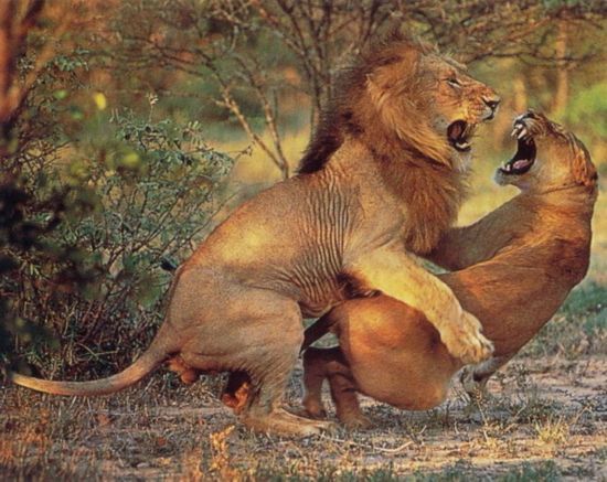 木匠拜鲁班青楼拜管仲,木匠拜祖师爷