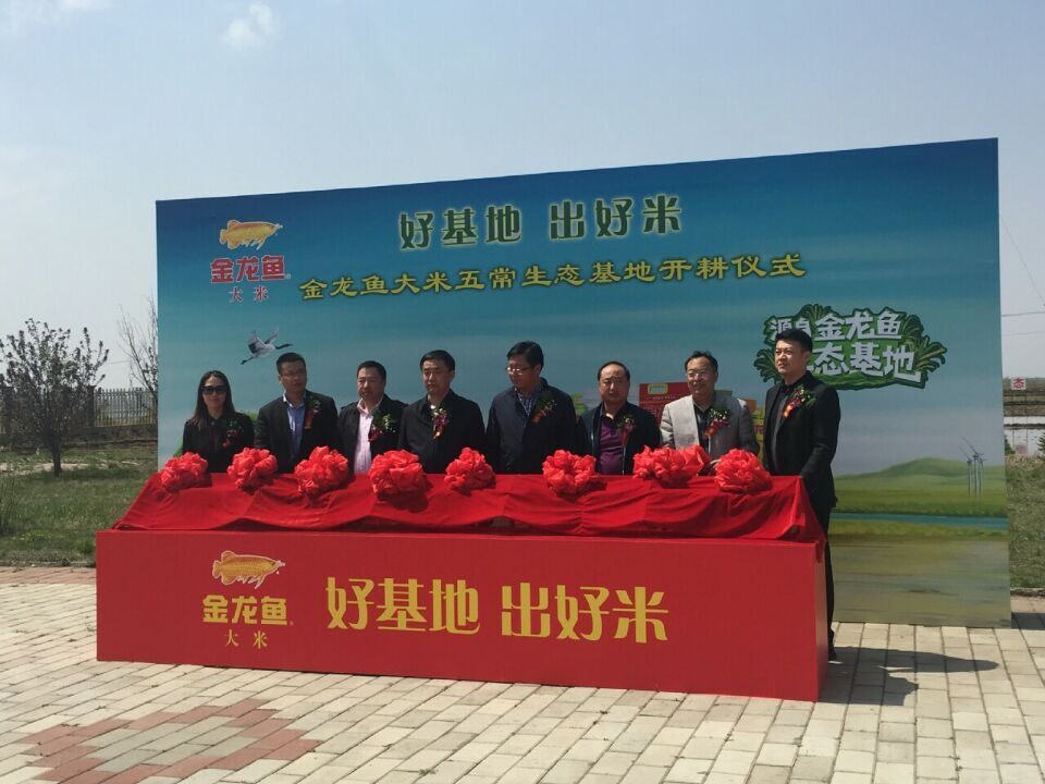 真正的五常大米有哪些,真正的五常大米香吗