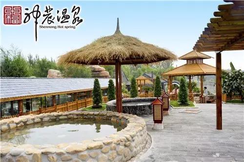 夏日乐悠最新视频,夏日乐悠游