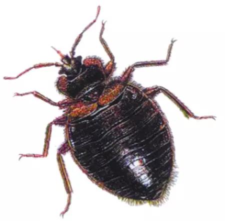 清洁工被蛇咬了,清洁工被狗咬怎么处理