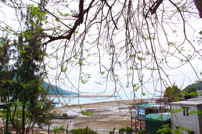 妈妈咪咪嘉年华的欢乐体验和香港郊区的生态怡然之旅