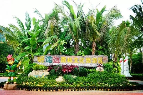 长期持有棕榈股份,棕榈股份靠什么赚钱