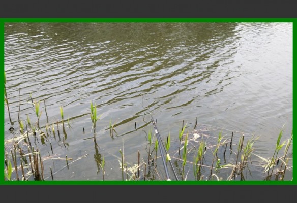 閲庨挀鐑х儰缁濅匠鐮佸ご,鎺ㄨ崘閽撻奔鐑х儰