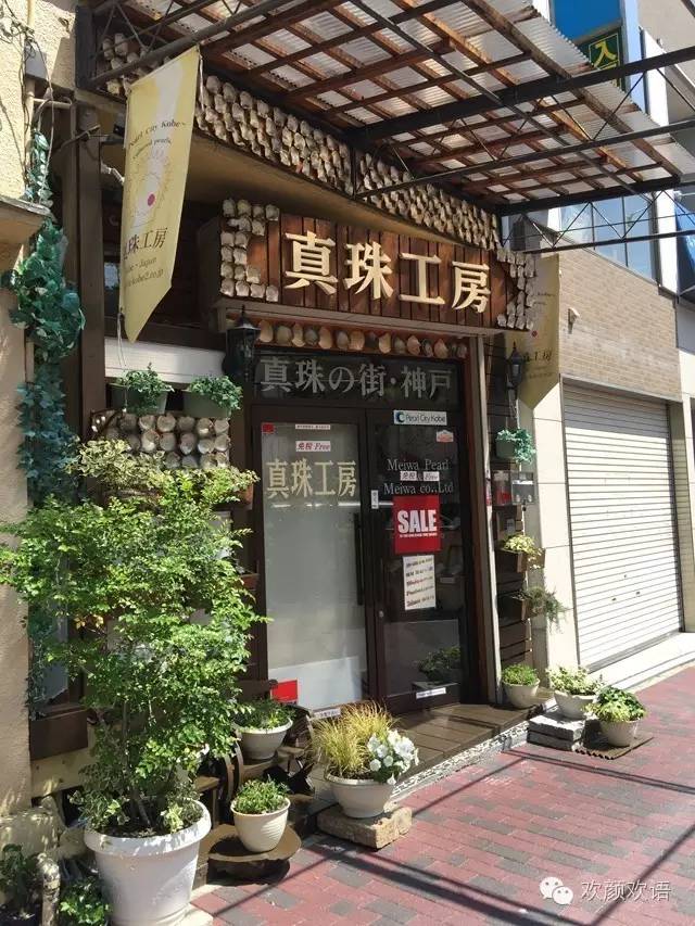 去日本必买的珍珠,去日本旅游需要买珍珠吗