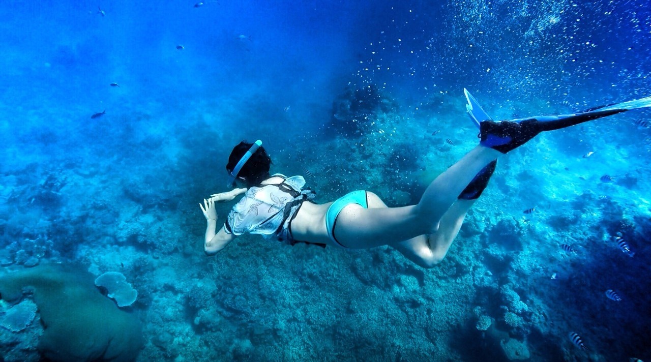 八个绝佳的潜水圣地建议收藏哦,全球最适合潜水的城市