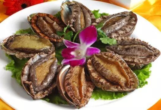 烟台蓬莱长岛最全攻略,烟台长岛旅游攻略