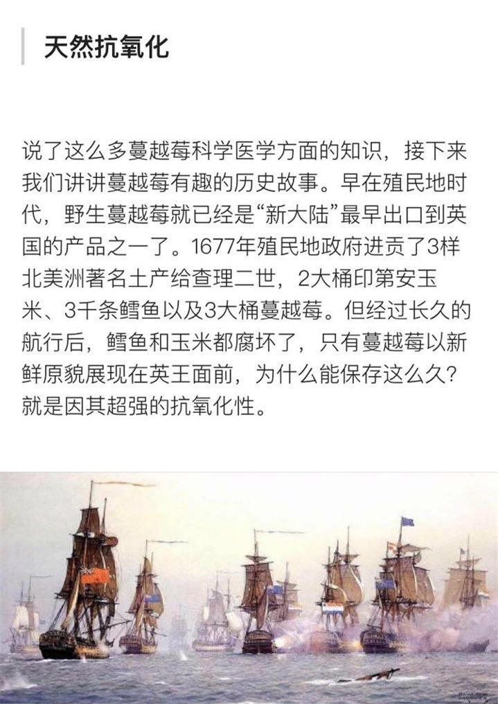 北美红宝石蔓越莓干,北美顶级红宝石蔓越莓