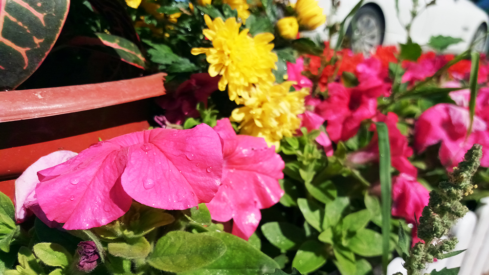 不止颜值，贵在创新：金立S8全面测评