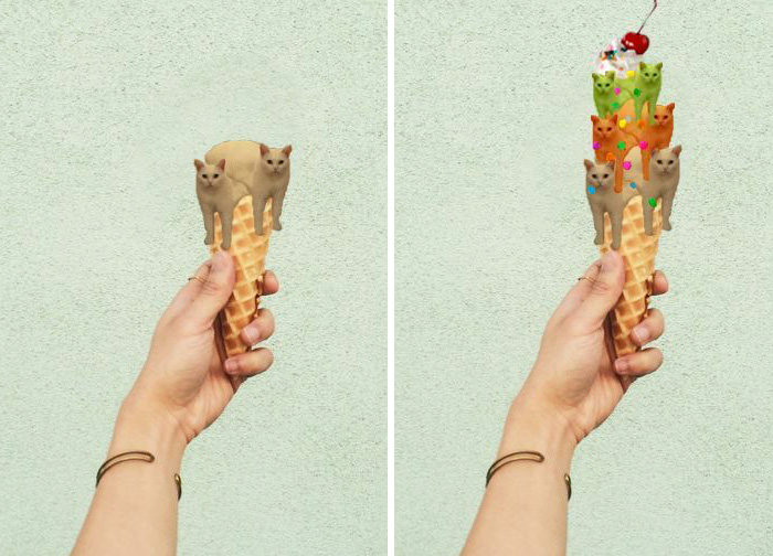 喵星人被恶搞了,喵星人下楼梯