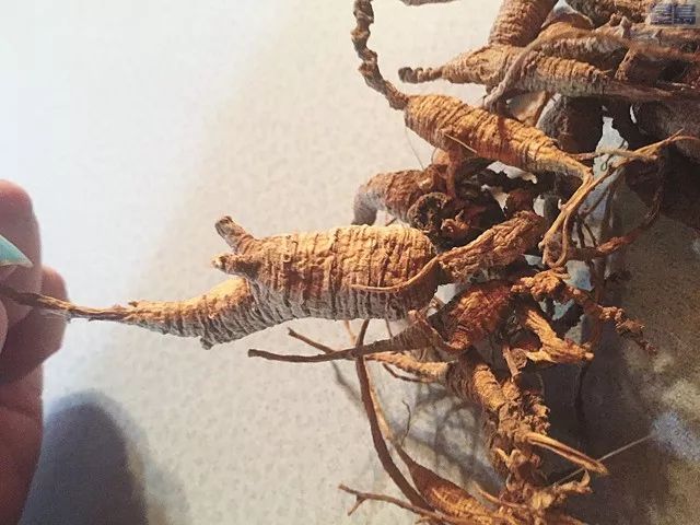 在国外海关东西被扣,华人回国被海关扣下