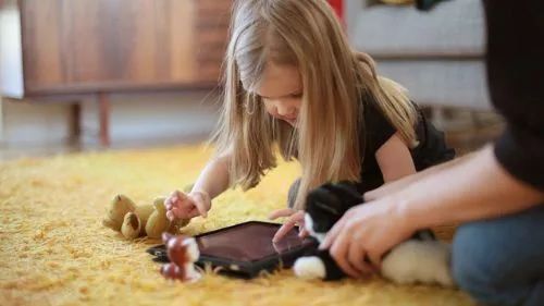 屋里发现一只蜘蛛,屋子里发现蜘蛛