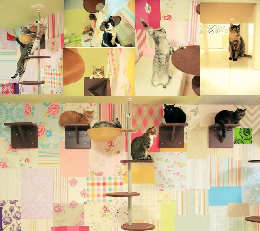 甜蜜蜜暖洋洋：在东京和你的TA去这8个地方TokyoGirls