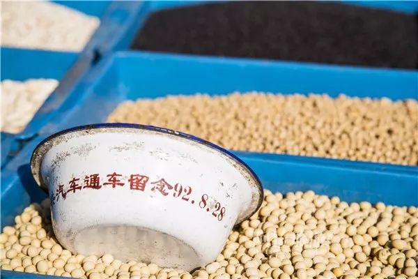 鄞州区姜山老街,姜山古街历史