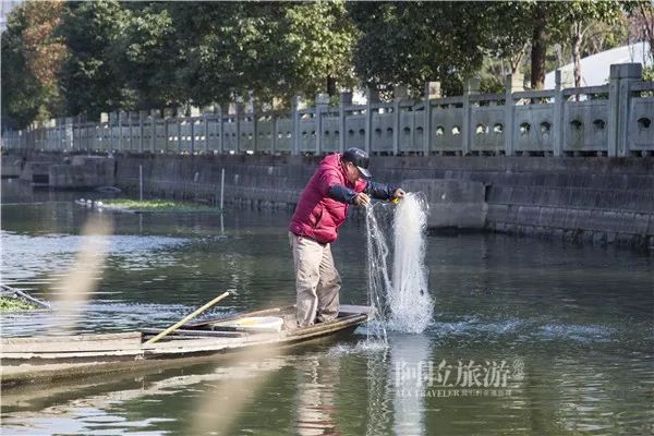 鄞州区姜山老街,姜山古街历史