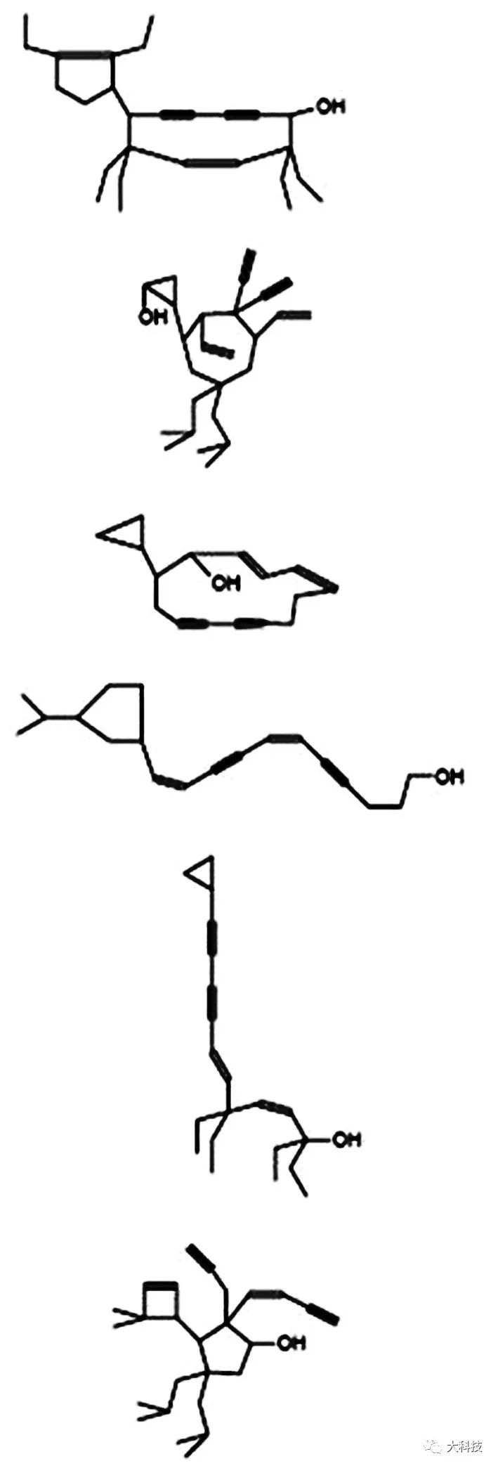 超级模仿秀大神,单人超级模仿秀