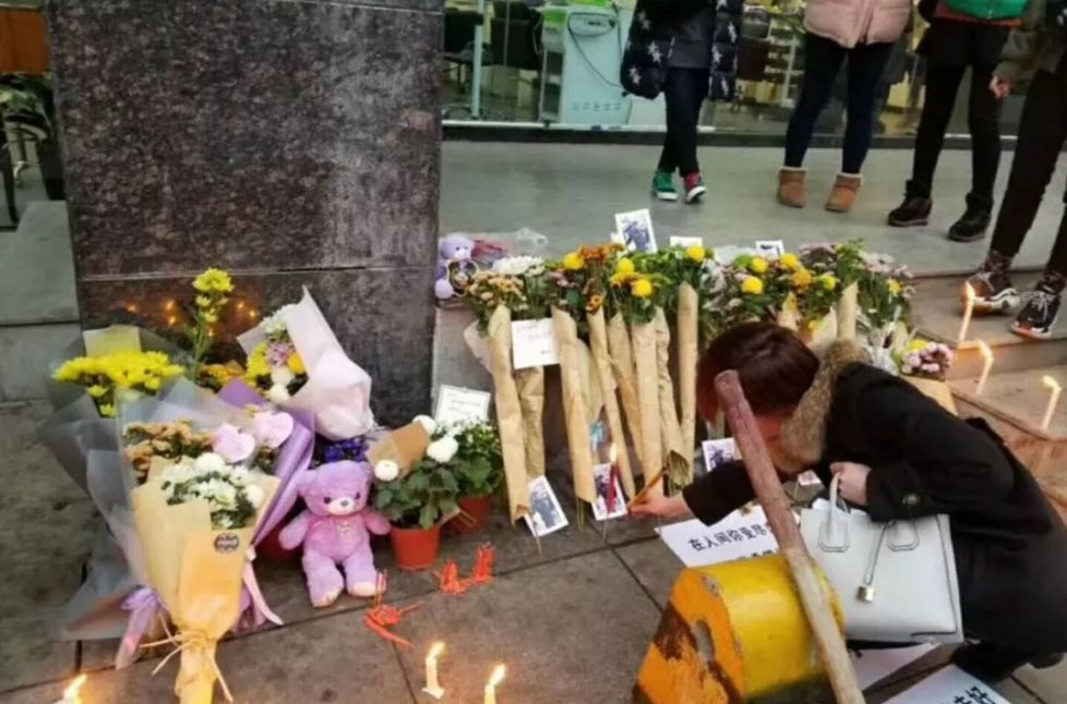 长沙打死金毛事件,要人命