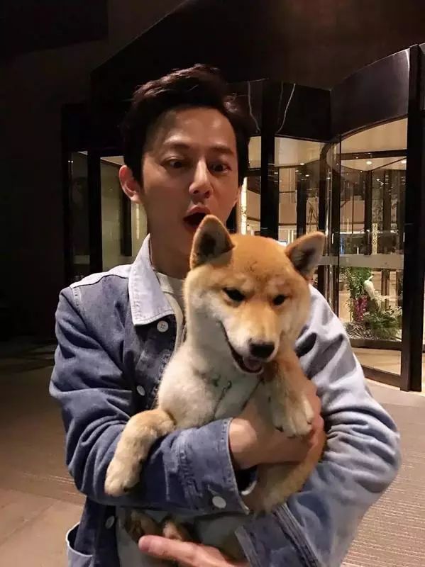 毕竟爱狗|哈哈哈哈哈哈……听说你们要买狗年单品?我就真的不拦了!