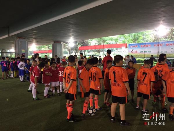 2024柳州小学生足球比赛,柳州小学区长杯足球比赛