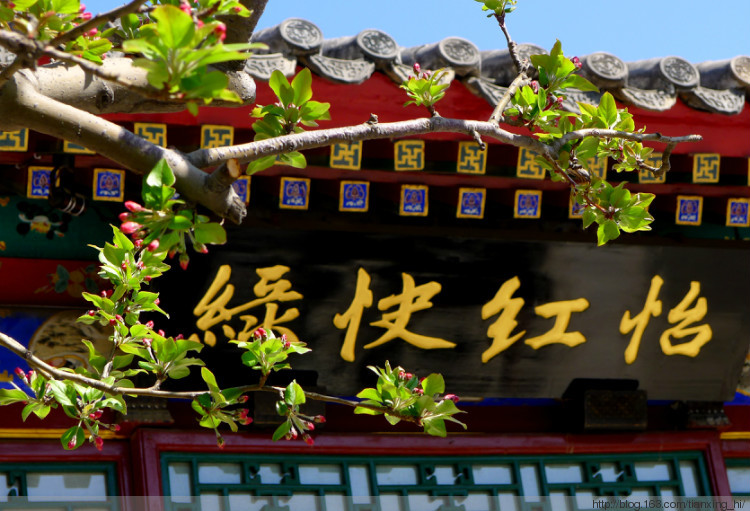 取名的艺术字网名,取名的艺术技巧