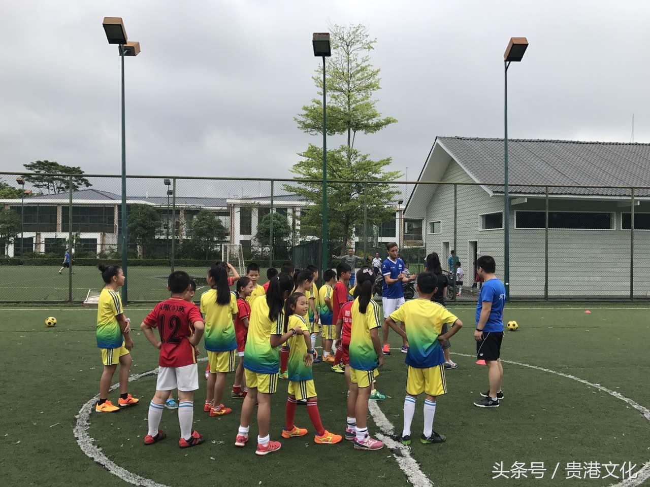 足球技巧足球知识,新手小白一定要懂的足球知识