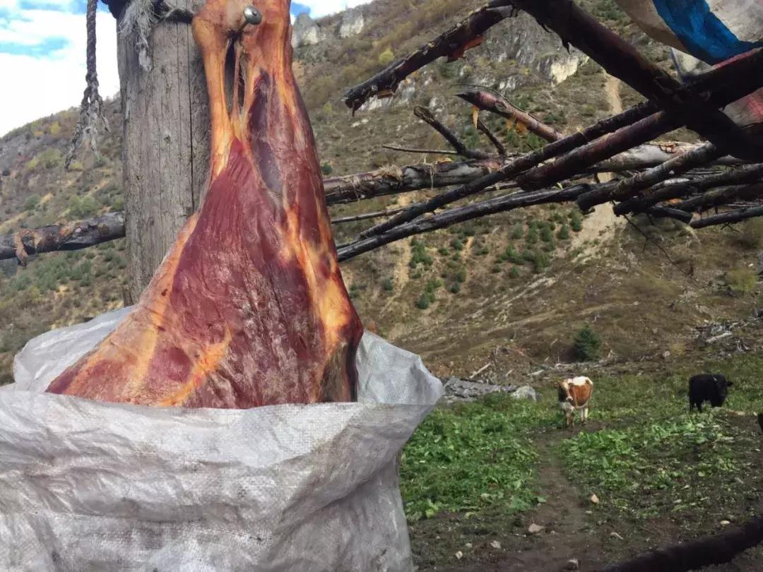 gq报道,gq报道团队