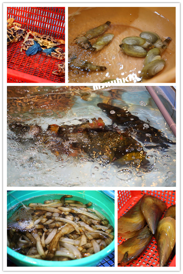 ◆周末度假去哪儿◆——在越南岘港逛吃逛吃