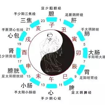 运动健身打造完美身材,运动健身告别亚健康