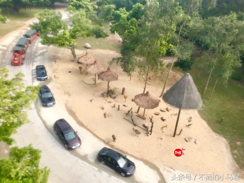 长隆野生动物园3天2晚亲子游,广州长隆野生动物园亲子游攻略