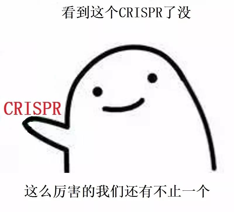 细菌的crispr免疫系统,crispr在细菌中的应用