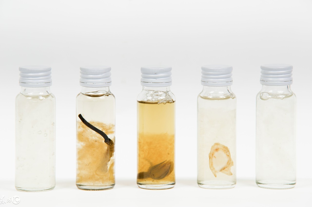 揭秘虫草市场,真正的虫草价格是多少