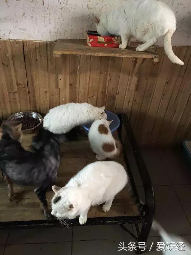 爱妖经陪你过暖冬｜爱要有你才温暖