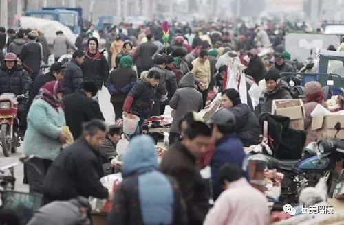 豹子老虎打工记｜壮美昭陵