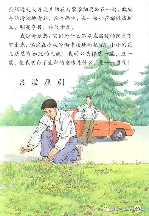 寒假预习复习人教版资料,四年级下册语文书电子版预习