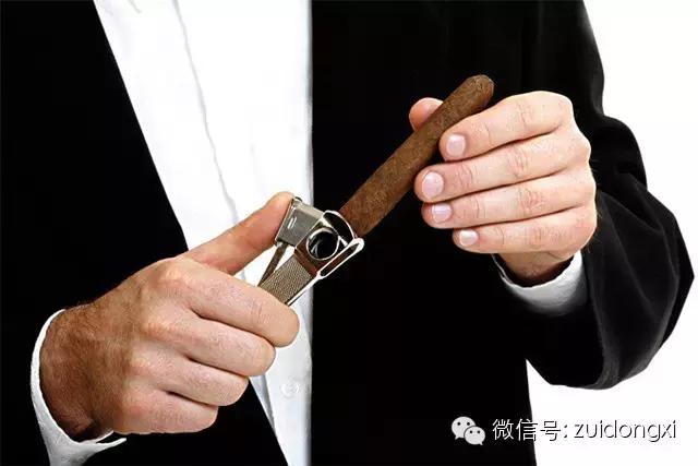 不曾驯服的野性,随风而逝