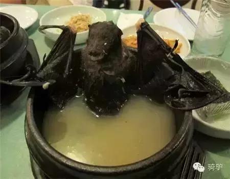 帕劳最新政策消息,帕劳现在怎么样了