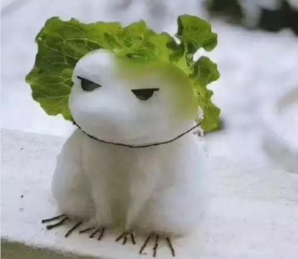 台铃车子和雅迪车子到底哪个更好,台铃萌雪2022新款