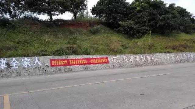 大学生村淘合伙人创业,在农村创业团队