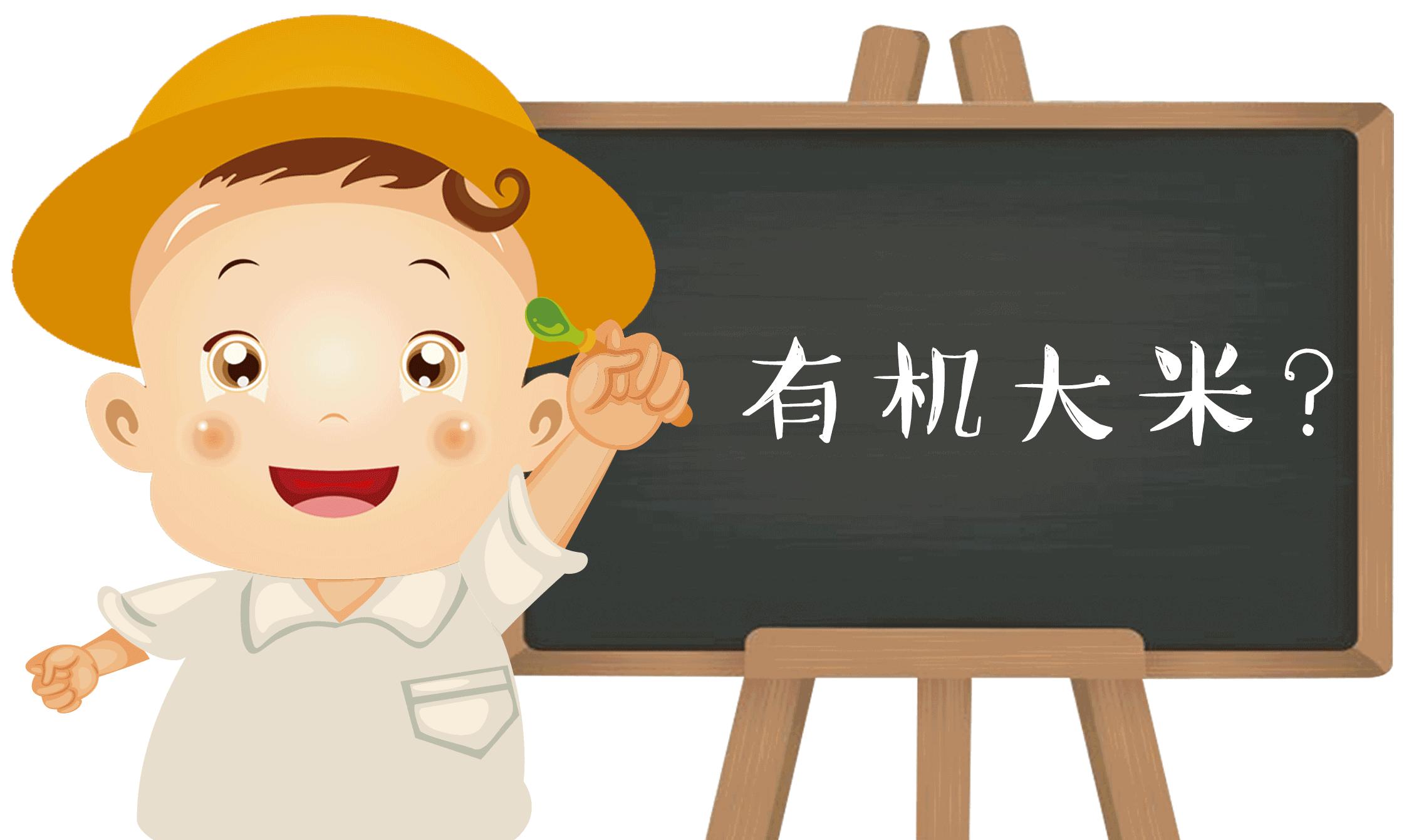 宝宝辅食米粉排行榜10强,大米米粉辅食