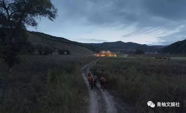 韩雪组装手机、吴彦祖造房子你不知道的明星隐藏技能