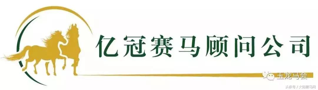 “吉祥如意”当选2017赛季玉龙马会年度马王:“赛事五魁”出炉
