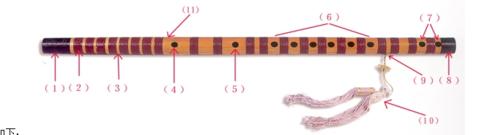 笛子初学者入门教程,初学笛子最简单入门教程