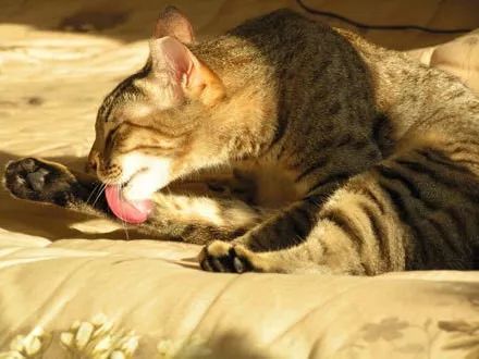 “冬阳”一寸值千金，冬天晒太阳的8大好处！