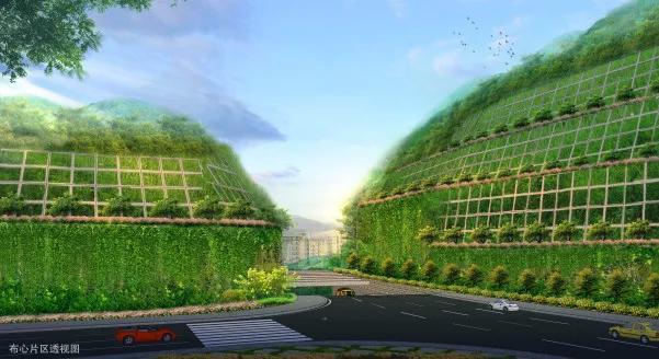 罗湖棚改2020,罗湖棚改名单