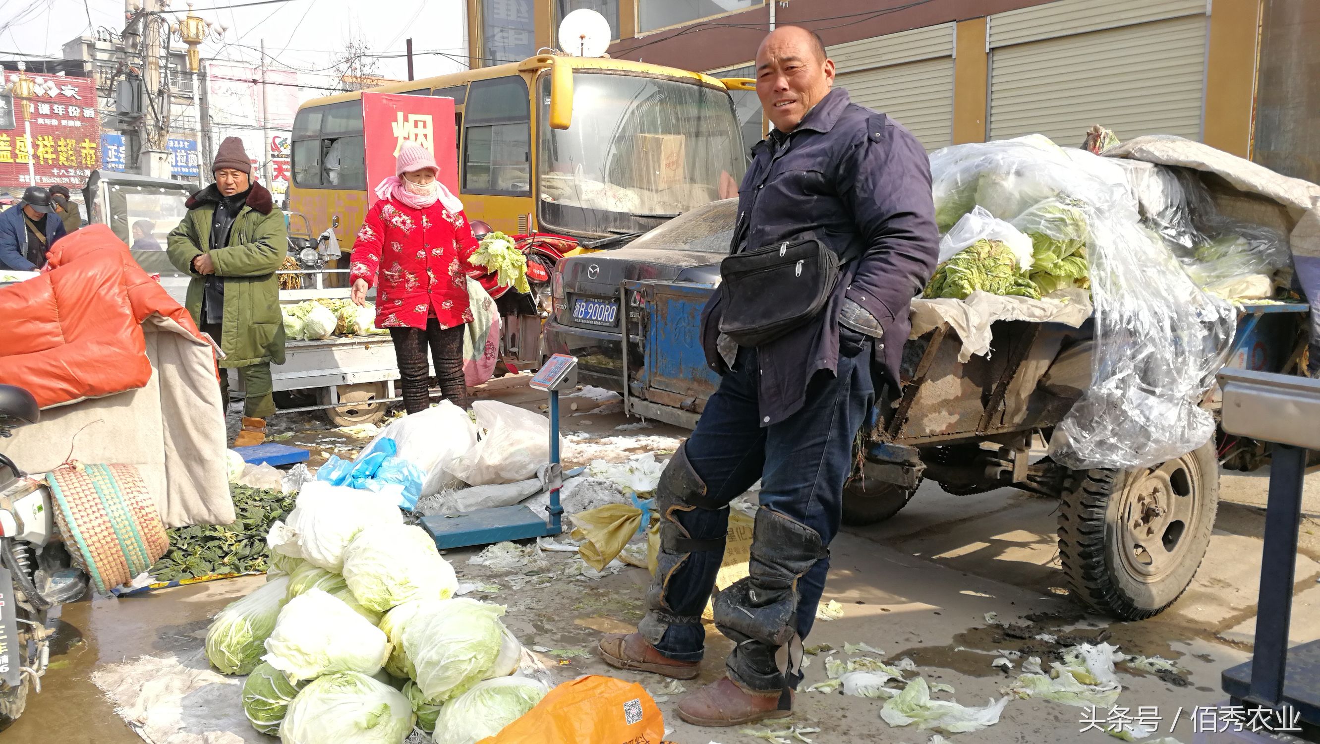 农村人种了10亩大白菜，零卖5毛钱一斤，还有人说卖贵了！