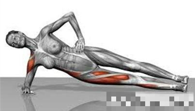 腹肌和腰肌该怎么练,教你锻炼腹肌背肌等肌肉纯干货