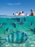 帕劳最新政策消息,帕劳现在怎么样了