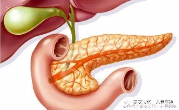 全国治疗重症胰腺炎最权威的医院,重症胰腺炎手术后多长时间能出院