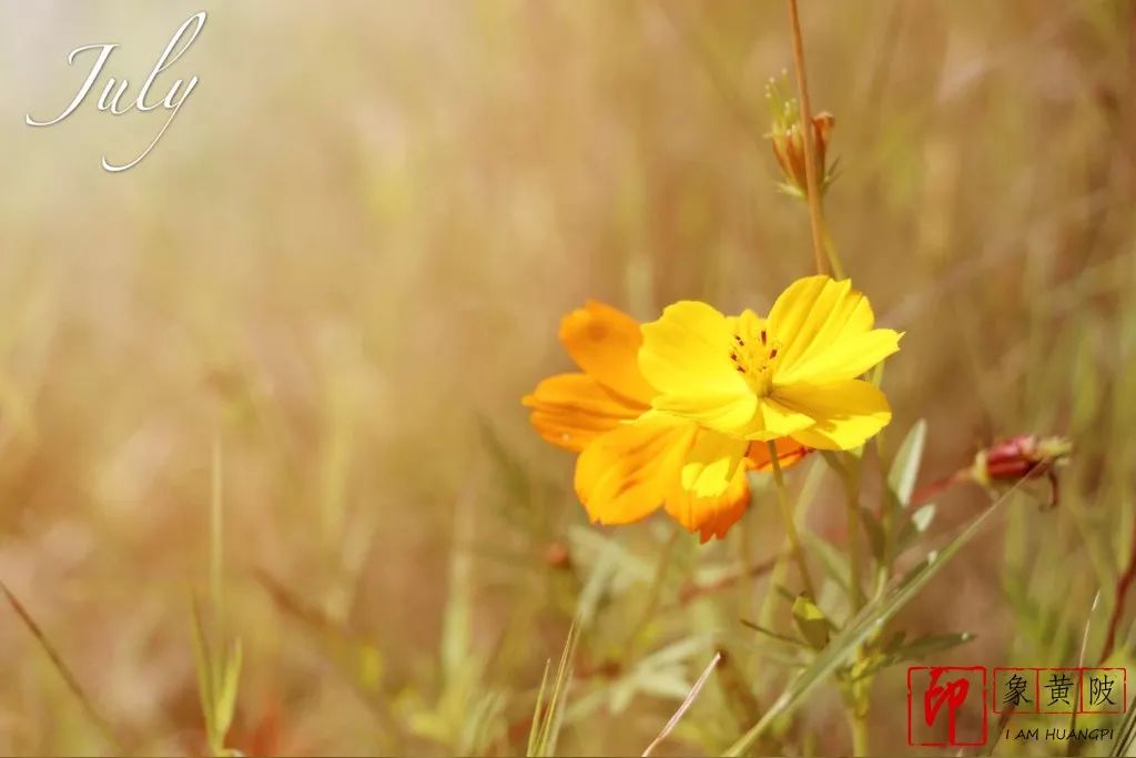 蔡店榨油,蔡店美发店