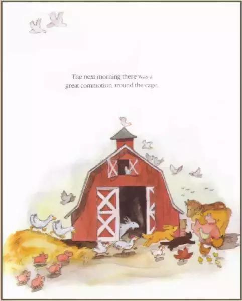 bunnyrabbit绘本,英语绘本故事6-10岁小红帽