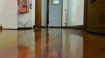 周杰伦健身30分钟,周杰伦游泳训练视频